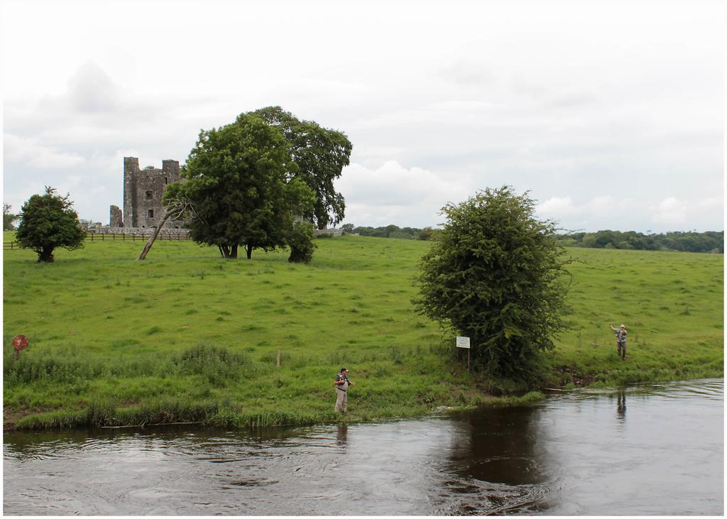 Bective Mill B&B Kilmessan Exterior foto